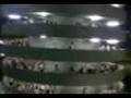 videos de concerto robbie