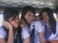 single ladies of patts BSTM-1T