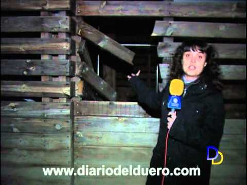 Imagen de previsualización de YouTube