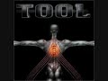 Tool Salival Maynard's Dick