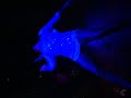 Russian Go-Go Dancers GOSSIP Costinesti.AVI