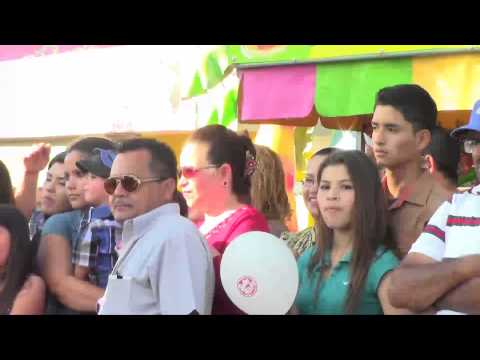 Se lleva a cabo el recorrido del Carnaval Guamúchil 2014