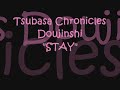 Tsubasa Chronicles Doujinshi