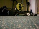 122.5kg x 5 reps floorpress
