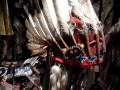 Antique eagle feathers bonnets and headdresses