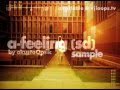 SD loop pack a-feeling