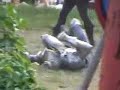 this is part two of two from the aromred joust at the minnesota renaissance festival in shakopee, recorded at noon on august 19, 2006.