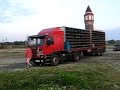 Golebie,Lot, Taubenauflass .start golebi z lotu Lehrte,