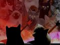 FIV Cats 