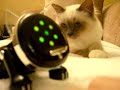 iCat anyone?