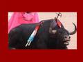 videos de Anti-Corrida