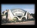 Magnolia Texas Real Estate Community Profile