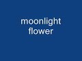 moonlight flower - michael cretu moonlight flower - michael cretu
