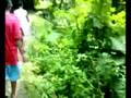 sambay falls