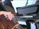 sonate de claude debussy. film� aux ecuries de baroja � anglet (64).