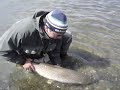 Big Trout