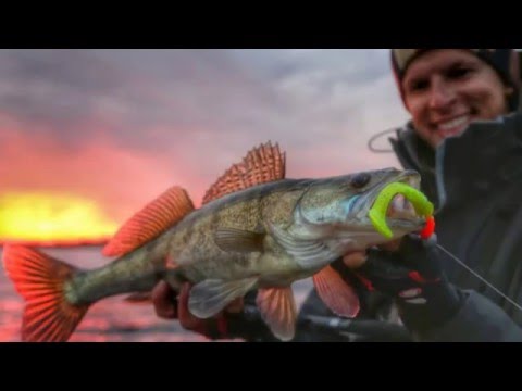 ловля щуки спиннингом на джиг видео ловля щуки спиннингом на джиг видео