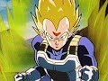 Vegeta and Raditz tribute