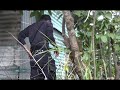 Menor asesinada en Ayutuxtepeque