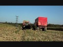 Ensilage de MAÏS 2008 avec john deere 6910