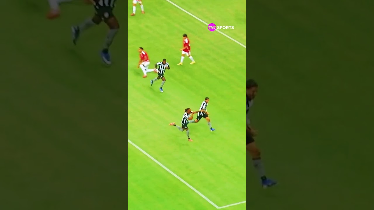 GOLAÇO DO DANILO! O MEIA DO BOTAFOGO TÁ CAVANDO SUA VAGA NA COPA DO MUNDO #shorts