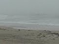 Storm waves on Nantasket Beach
