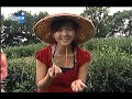 台灣宏觀電視www.pts.org.tw...