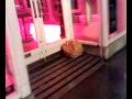hayley-and-alyssa-play-hide-seek-in-oxford-part-4-.html