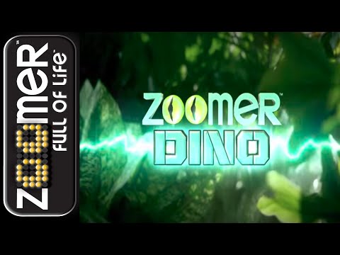 how to control zoomer