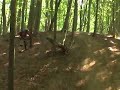 stef-aruncarea cu poseta-speciala de la valcea