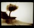 sand fantasy