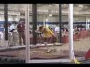2008 Bigten Indoor Shot put, Aaron Studt