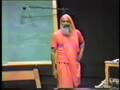 #16 Swami Dayananda - The Nectar of Non-Duality