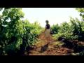 Bodegas Dolores Morenas - ICEX