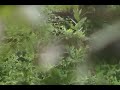 Santori e Aumenta - Accampamenti ex maneggio Villa Pamphili