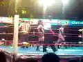 amapola vs marcela