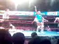 amapola vs marcela
