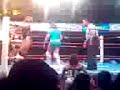 amapola vs marcela