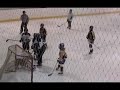 Tampa Bay Black Bears Pee-wee Hockey Scrimmage Game