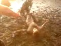Leeds Festival 2008 Mud Fight
