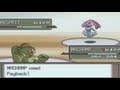 Pokemon Wifi Battle - 31 - PIMPNITE VS SUNG