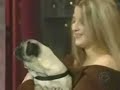 Un chien tr�s �mu.