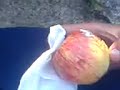 dispicable