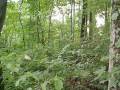 20 Acres with Gorgeaus vies of the Sequatchie Valley.  Call Scott W. Blaylock 423-618-2756