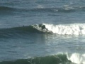 Kanguru surf