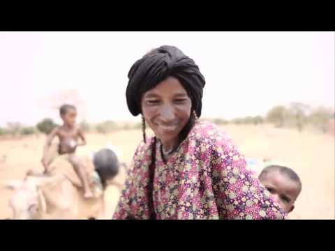 how to cure malnutrition