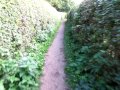 Click to View : Der Weg durch den Irrgarten