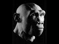 750.000 anni fa...l\ 750.000 anni fa...l\