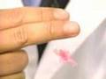 Got Silk? -- Biotech Applications