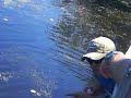 Bayou Gator Tour
